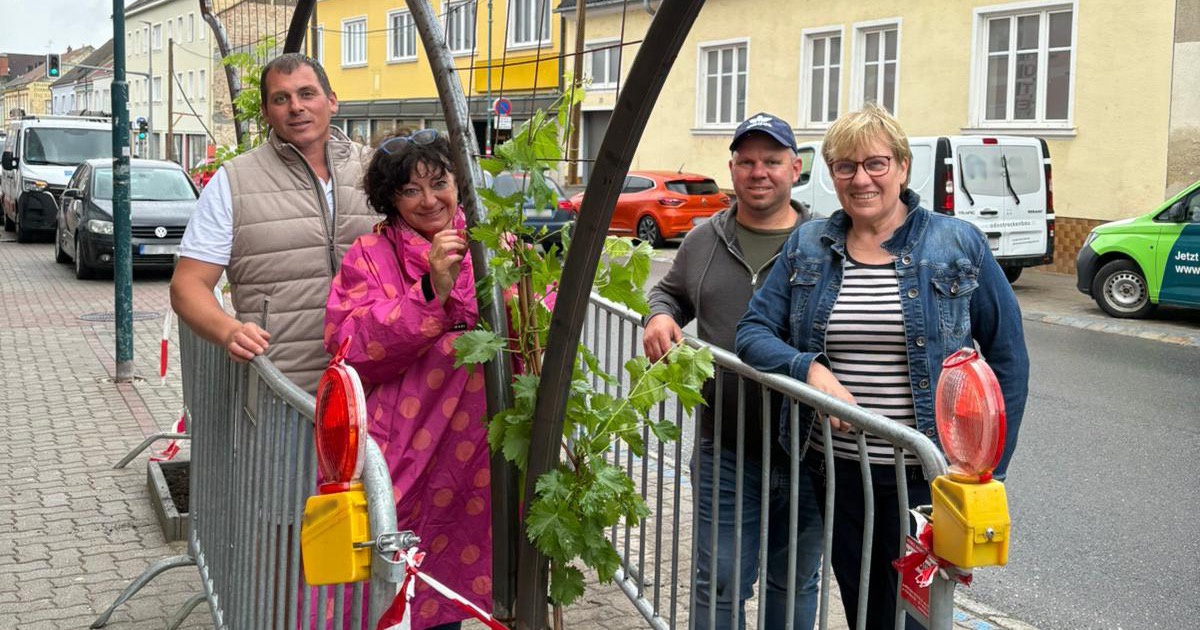 - &copy; Mehr Grün, mehr Aufenthalts- und Lebensqualität für Mistelbach